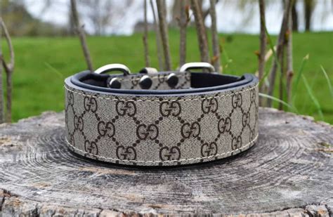 gucci dog collar dupe